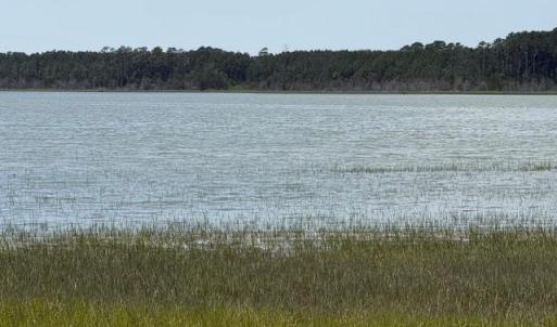 Photo #80 of 35257 CATS POINT LANE, QUINBY, VA 7.0 acres