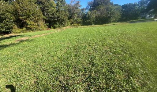 Photo #4 of 32168 BOSTON RD, PAINTER, VA 2.0 acres