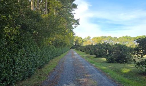 Photo #51 of 10016 WESTERHOUSE RD, MACHIPONGO, VA 6.2 acres