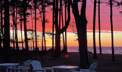 Photo #42 of 10016 WESTERHOUSE RD, MACHIPONGO, VA 6.2 acres