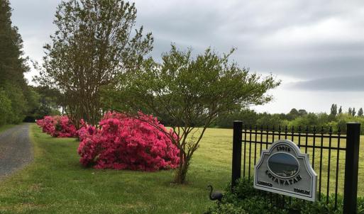 Photo #50 of 10016 WESTERHOUSE RD, MACHIPONGO, VA 6.2 acres