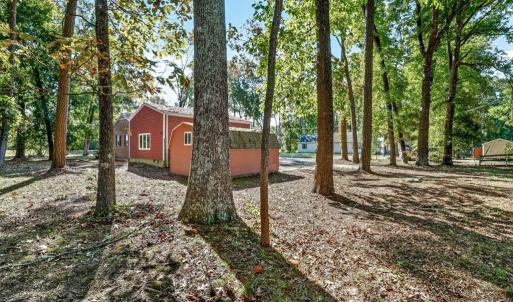 Views from Behind the Property