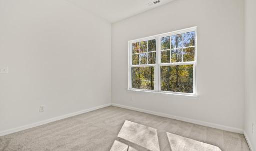 Photo #43 of Lot 493 DRY DOCK CT, GREENBACKVILLE, VA 75.0 acres