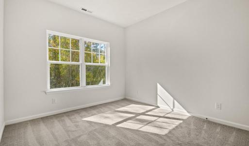 Photo #42 of 2497 DRY DOCK CT, GREENBACKVILLE, VA 75.0 acres