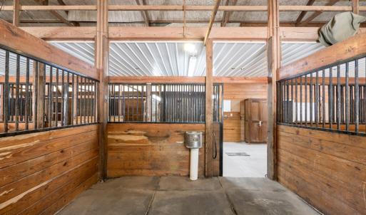 Photo #79 of 4375 WHITE TAIL LANE, MACHIPONGO, VA 341.0 acres