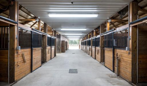 Photo #80 of 4375 WHITE TAIL LANE, MACHIPONGO, VA 341.0 acres