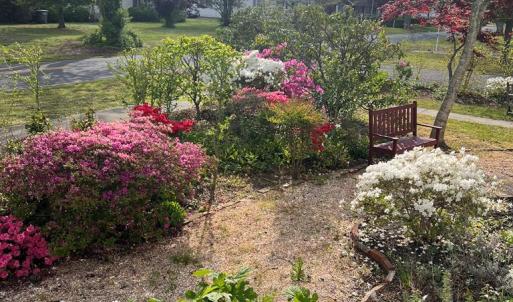 Photo #2 of 18298 CASSATT AVE, PARKSLEY, VA 0.4 acres