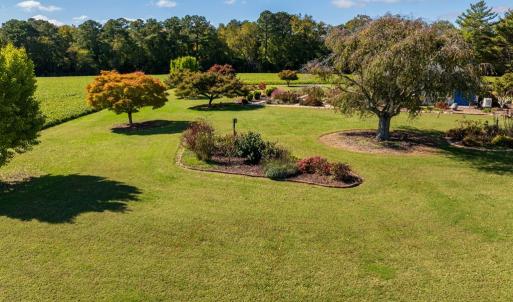 Photo #28 of 8402 SEASIDE RD, NASSAWADOX, VA 17.5 acres