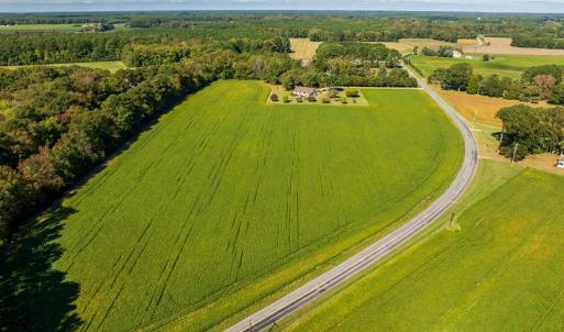 Photo #3 of 8402 SEASIDE RD, NASSAWADOX, VA 17.5 acres