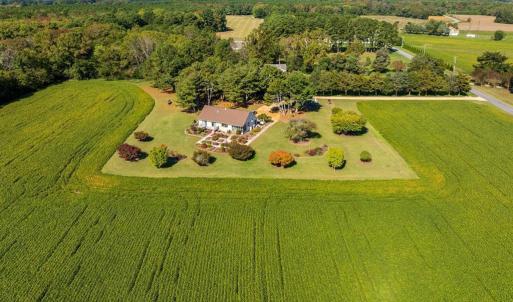 Photo #2 of 8402 SEASIDE RD, NASSAWADOX, VA 17.5 acres