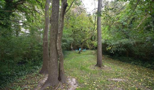 Photo #13 of 22 JOHNSON STREET, ONANCOCK, VA 0.2 acres