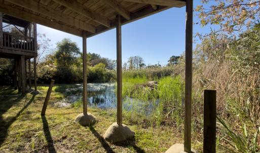 Photo #32 of 5160 MALLARD POND, CHINCOTEAGUE, VA 15.0 acres