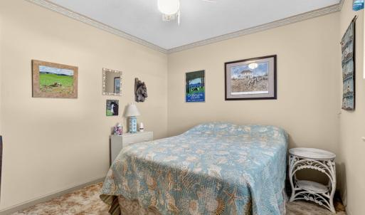 Photo #18 of 6135 MARTIN LN, CHINCOTEAGUE, VA 9.0 acres