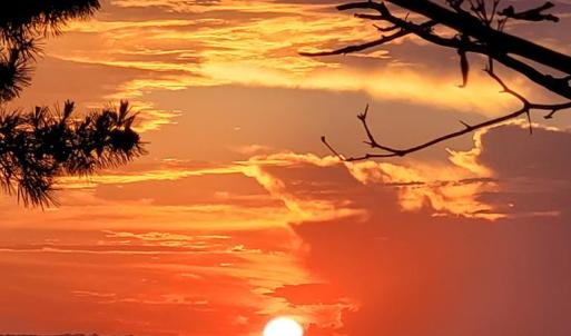 Photo #20 of 5169 WINDER LN, CHINCOTEAGUE, VA 0.4 acres