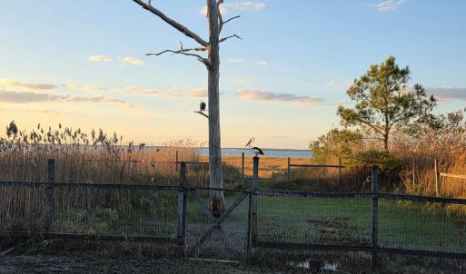 Photo #13 of 5169 WINDER LN, CHINCOTEAGUE, VA 0.9 acres