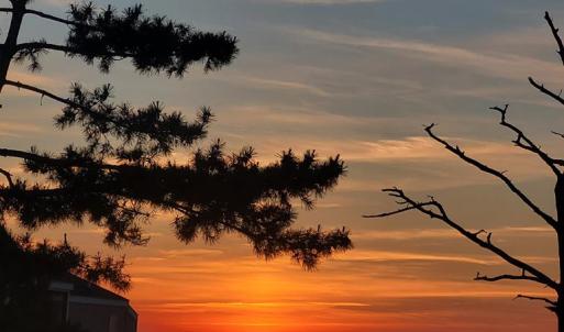 Photo #22 of 5169 WINDER LN, CHINCOTEAGUE, VA 0.9 acres