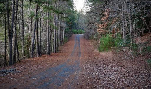 Photo #42 of 3375 ANCHOR CT, GREENBACKVILLE, VA 9,616.0 acres