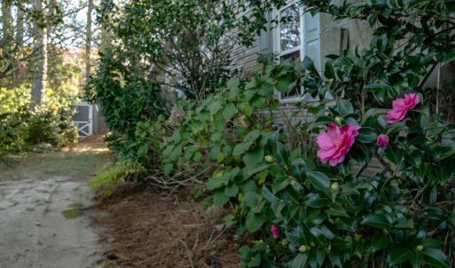 Photo #8 of 7225 KELLAM DR, EXMORE, VA 0.4 acres