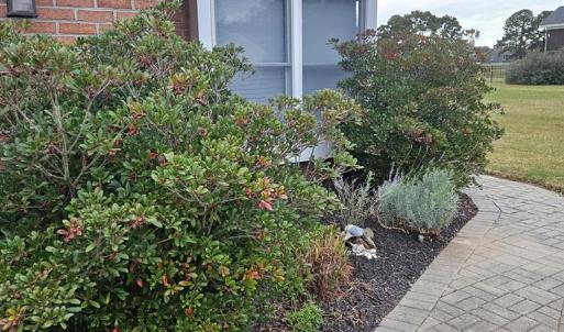 Photo #4 of 3184 MERIDIAN DR, GREENBACKVILLE, VA 9,750.0 acres