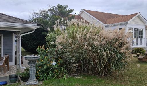 Photo #24 of 3184 MERIDIAN DR, GREENBACKVILLE, VA 9,750.0 acres