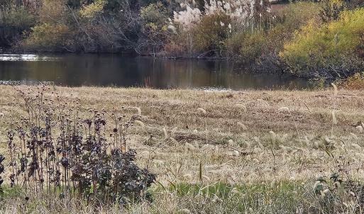 Photo #27 of 3184 MERIDIAN DR, GREENBACKVILLE, VA 9,750.0 acres