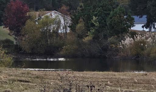 Photo #28 of 3184 MERIDIAN DR, GREENBACKVILLE, VA 9,750.0 acres