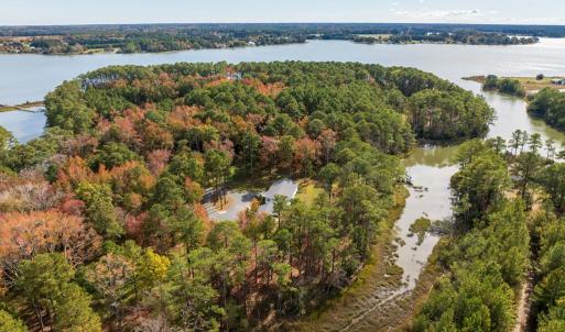 Photo #12 of 30298 HOLLY SHORES LN, HACKSNECK, VA 10.8 acres