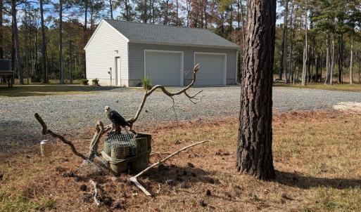 Photo #25 of 30298 HOLLY SHORES LN, HACKSNECK, VA 10.8 acres