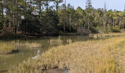 Photo #29 of 30298 HOLLY SHORES LN, HACKSNECK, VA 10.8 acres