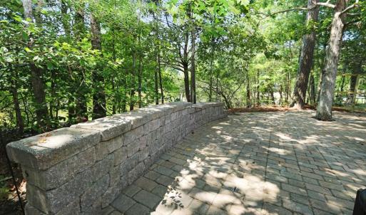 Photo #29 of 3789 CAPTAINS CORRIDOR, GREENBACKVILLE, VA 0.4 acres