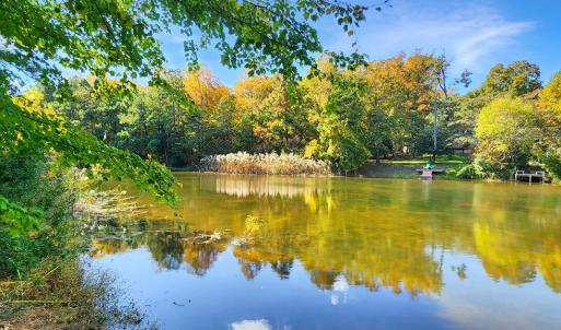 Photo #30 of 3789 CAPTAINS CORRIDOR, GREENBACKVILLE, VA 0.4 acres