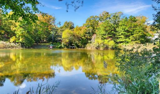 Photo #31 of 3789 CAPTAINS CORRIDOR, GREENBACKVILLE, VA 0.4 acres