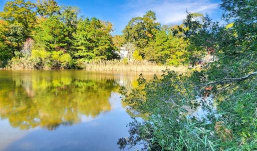 Photo #32 of 3789 CAPTAINS CORRIDOR, GREENBACKVILLE, VA 0.4 acres