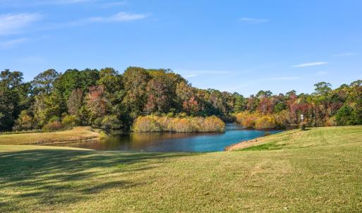 Photo #52 of 36368 CORBIN HALL LN, HORNTOWN, VA 3.4 acres
