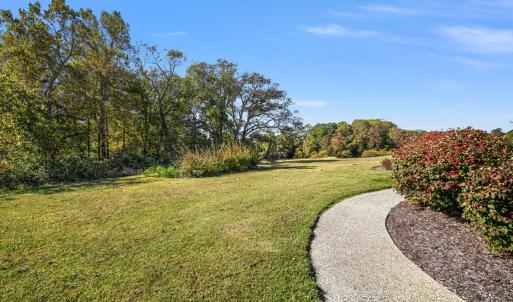 Photo #50 of 36368 CORBIN HALL LN, HORNTOWN, VA 3.4 acres