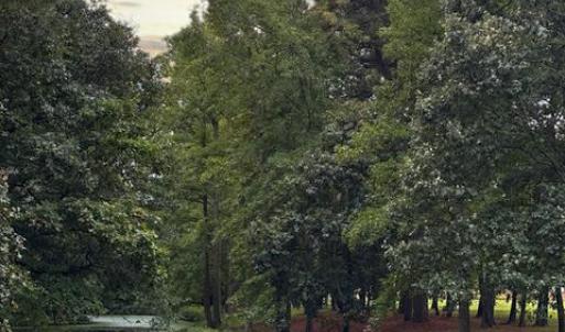 Photo #59 of 36368 CORBIN HALL LN, HORNTOWN, VA 3.4 acres