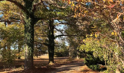 Photo #12 of 9333 RED BANK RD, NASSAWADOX, VA 1.3 acres