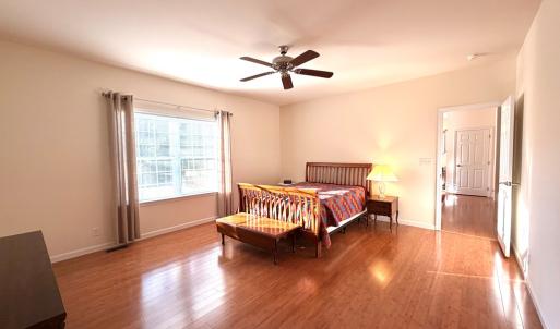 Downstairs bedroom