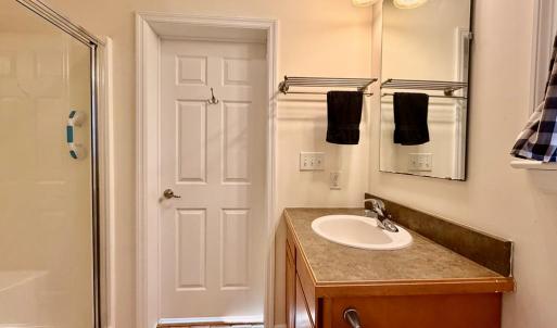 Downstairs bathroom, Shower
