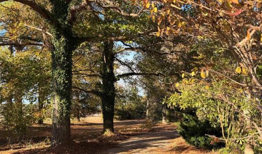 Photo #12 of 9333 RED BANK RD, NASSAWADOX, VA 1.3 acres