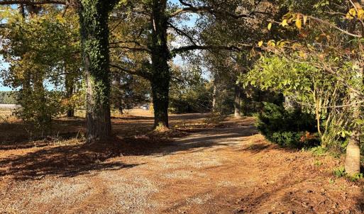 Beautiful grounds