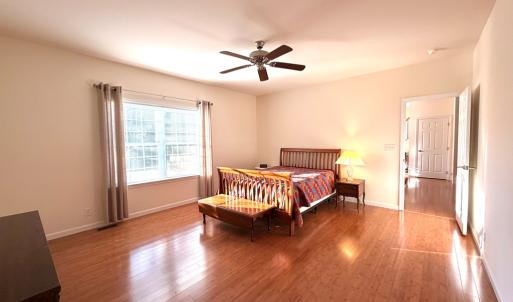 Downstairs bedroom