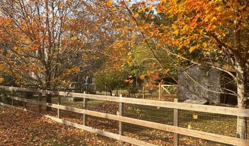 large fenced in yard with fruit trees