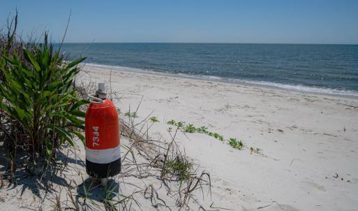 Photo #4 of 27520 ALLURE WAY, CAPE CHARLES, VA 5.0 acres