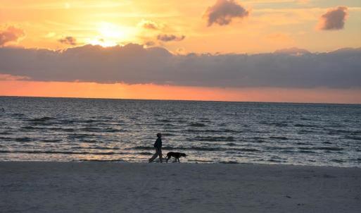 Photo #6 of 27520 ALLURE WAY, CAPE CHARLES, VA 5.0 acres