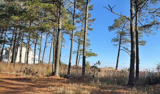 Photo #10 of Lot 720 CASTAWAY DR, GREENBACKVILLE, VA 8.0 acres