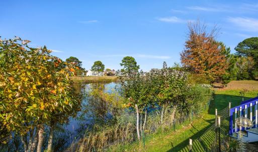 Photo #44 of 3188 BLACKBEARD RD, GREENBACKVILLE, VA 40.0 acres