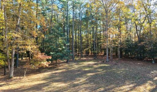 Photo #27 of 21435 HUNTERS WOODS RD, PARKSLEY, VA 3.3 acres