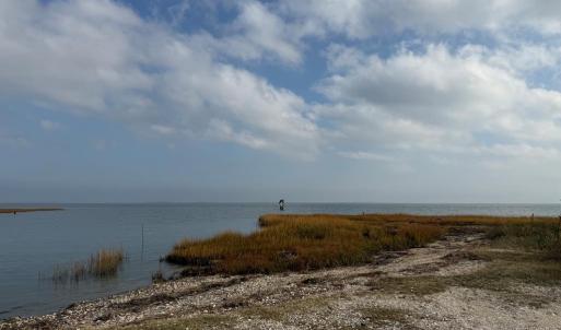 Photo #31 of 35458 UPSHUR NECK RD, QUINBY, VA 16.0 acres