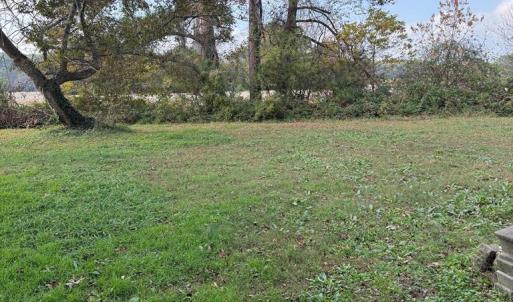 Photo #5 of 35458 UPSHUR NECK RD, QUINBY, VA 16.0 acres